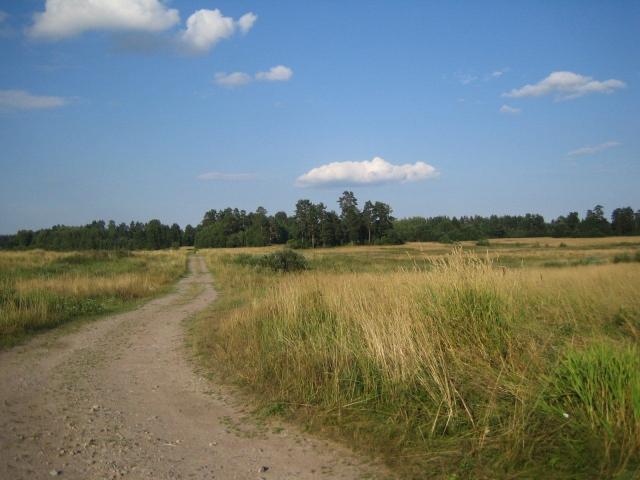 Веснино пос.