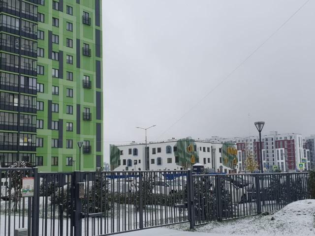 Янино-1 пос., Тюльпанов ул., д 4