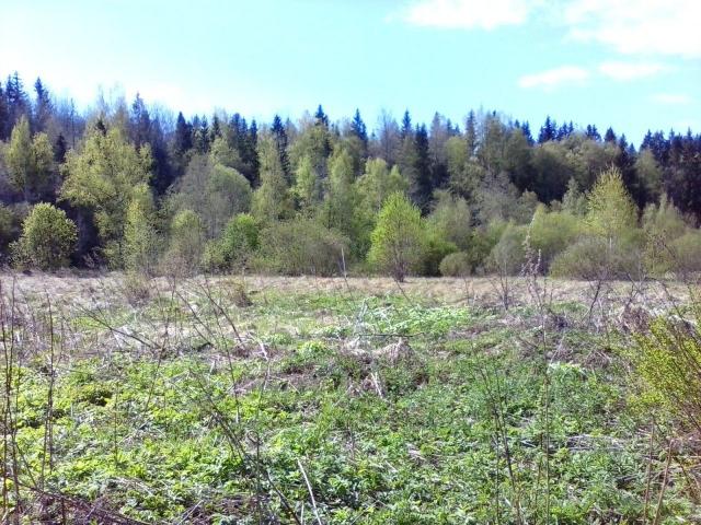 Сокули дер.