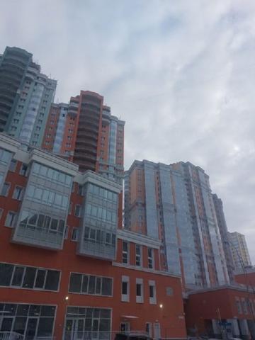 Кустодиева ул., д 5