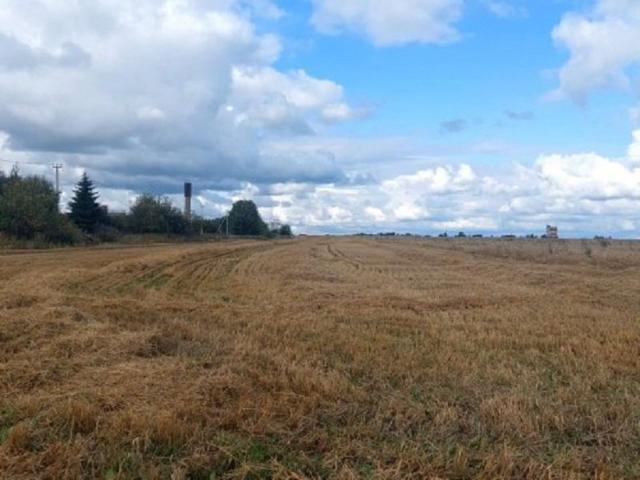 Кобралово пос.