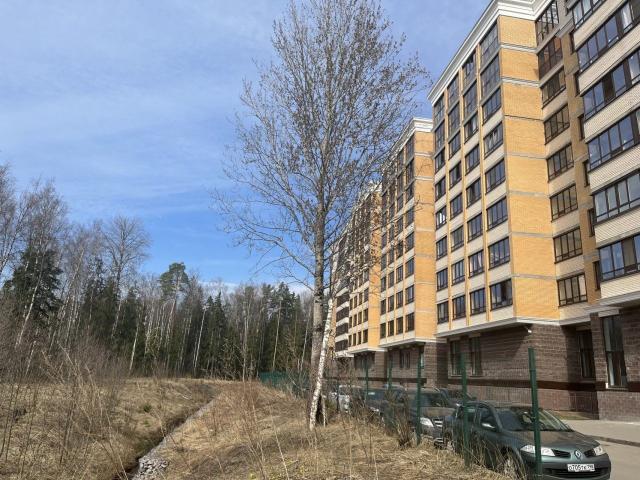 Ломоносов г., Михайловская ул., д 51