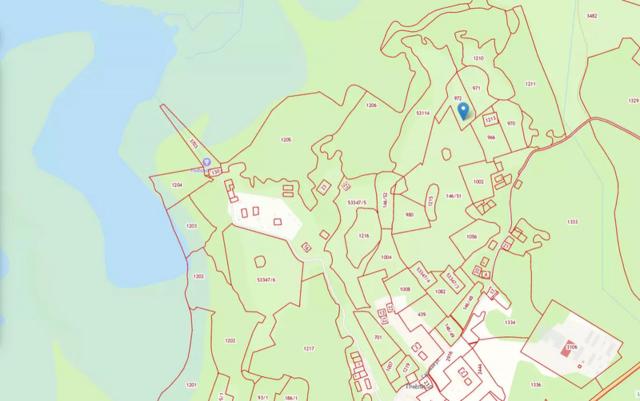 Ленинградская область, Пчелино пос.