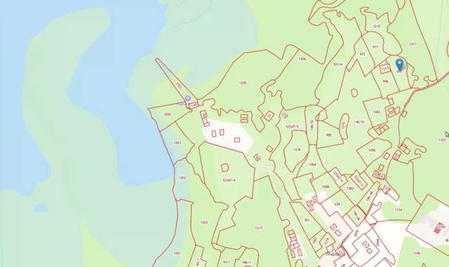 Ленинградская область, Пчелино пос.