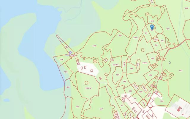 Ленинградская область, Пчелино пос.