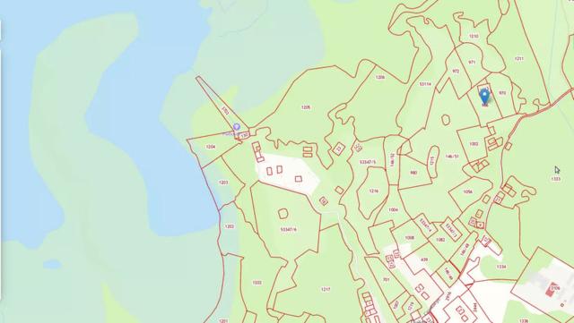 Ленинградская область, Пчелино пос.