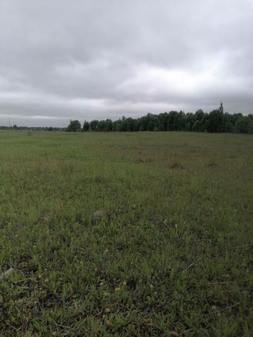 Глухово дер.