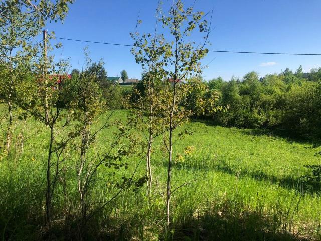 Вещево пос.