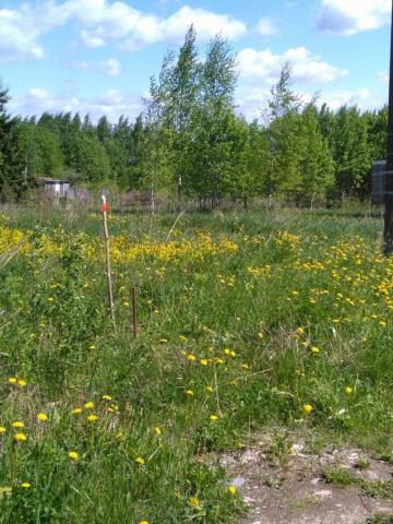 Сырец дер., Грузовик снт, д 66