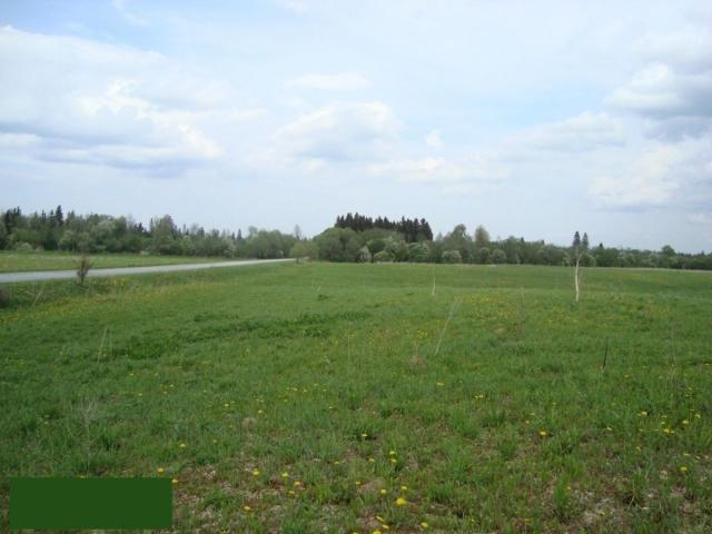 Новый Бор дер.