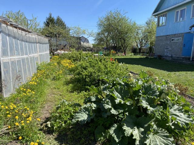 Верхняя Колония дер.