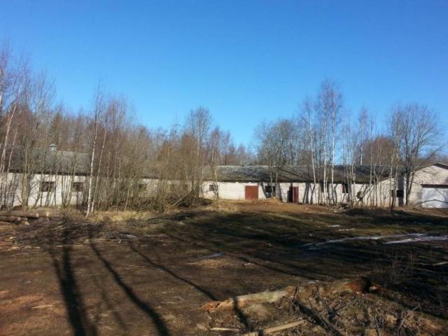 Кингисепп, Кингисеппский р-н, д. Большая Рассия