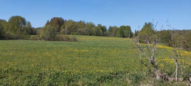 Козлово пос.