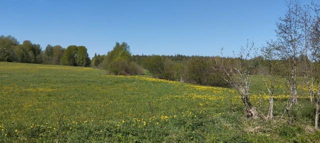 Козлово пос.