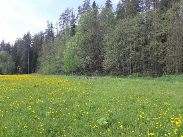 Раздолье пос.