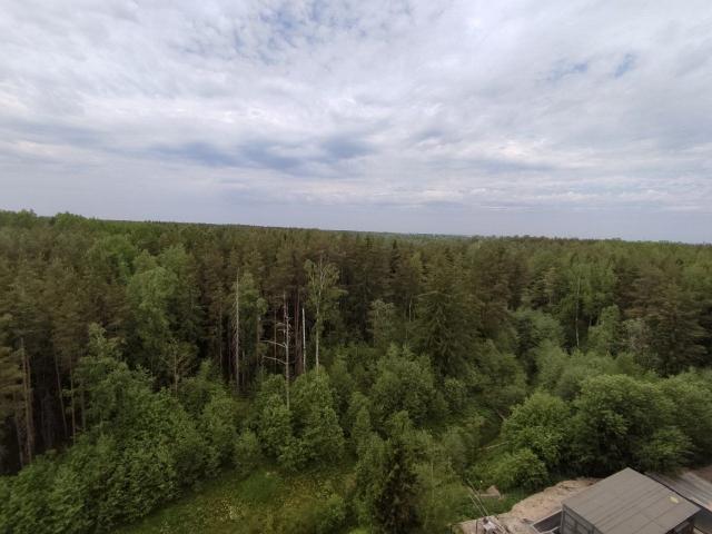 Ломоносов г., Михайловская ул., д 51