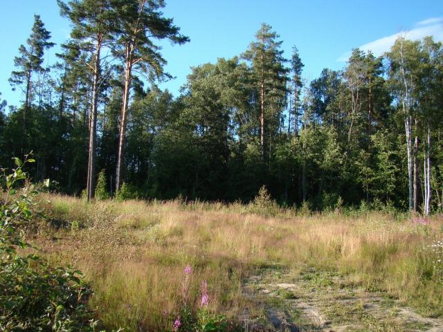 Куйвози-2 снт., 28-я Линия ул.