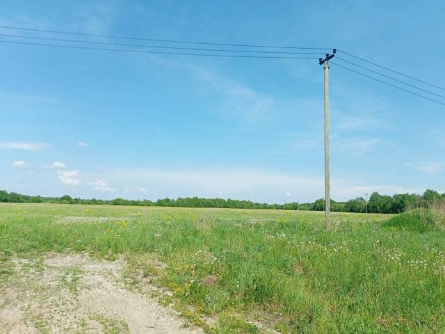 Валовщина дер.