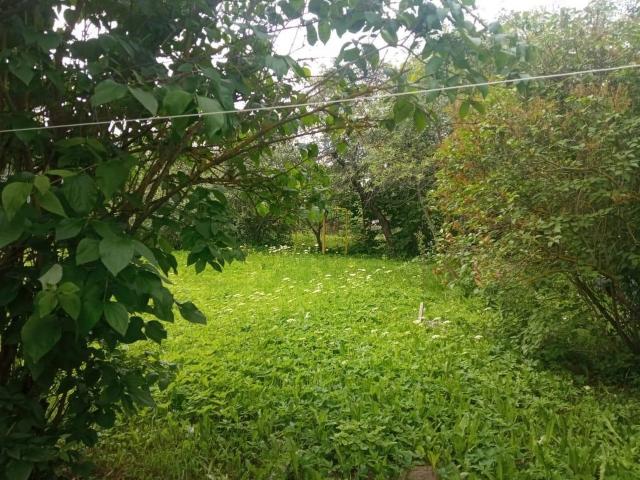 Красное Село, Зеленая улица, 23