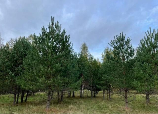 Староселье пос.