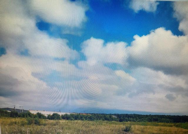 Соржа-Рыжики массив