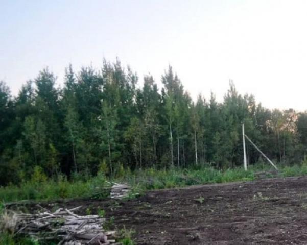 Бернгардовка массив