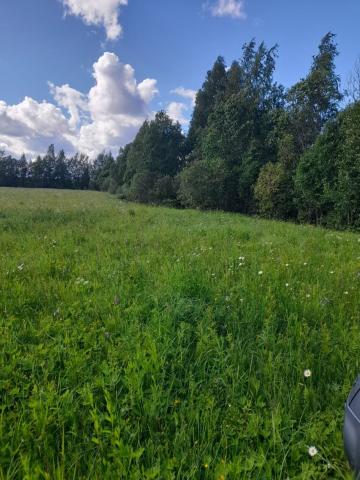 Барышево пос.