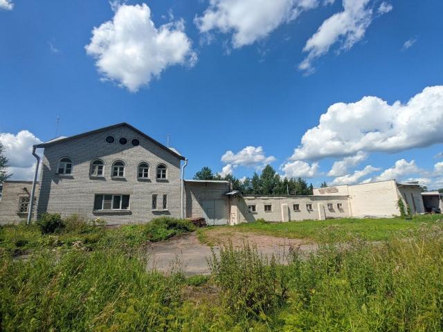 Старое Поддубье дер.