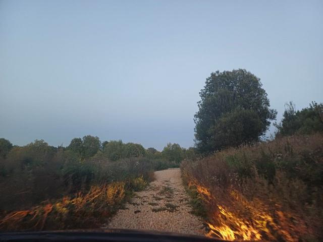 Оржицы дер.