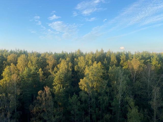 Ломоносов г., Михайловская ул., д 51