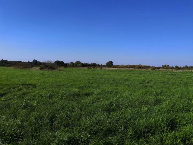 Гончарово пос.