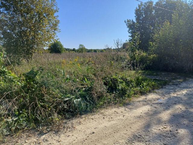 Ильино дер.