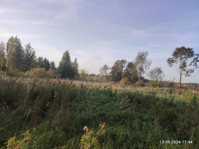 Порошкино дер.