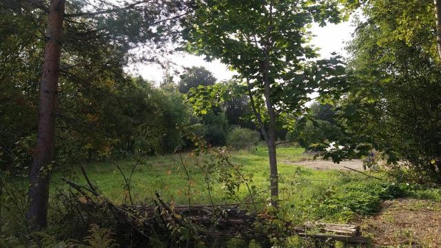 Лебяжье пос., Дальняя ул., д 3