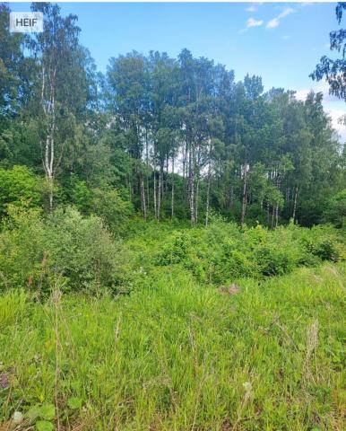 Кирполье дер.