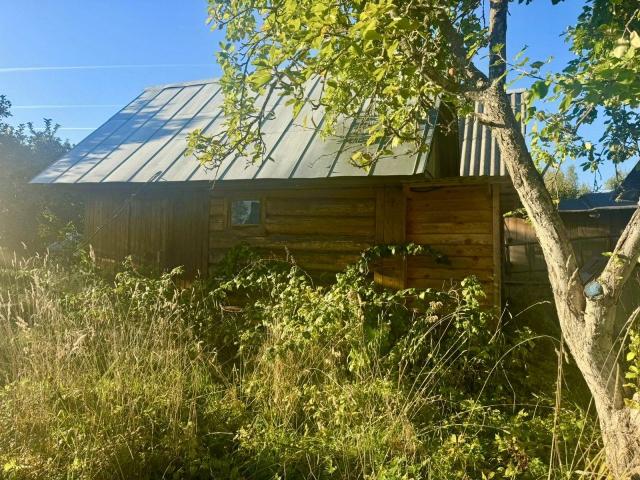 Мшинская массив, Нева снт, д 258