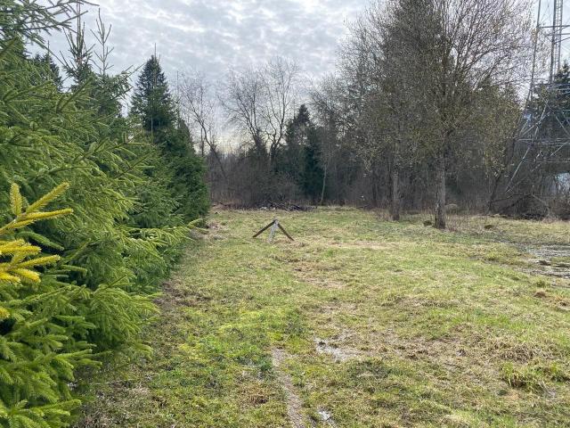 Ивановка (Пудостьская волость) дер., Лесная ул., д 17