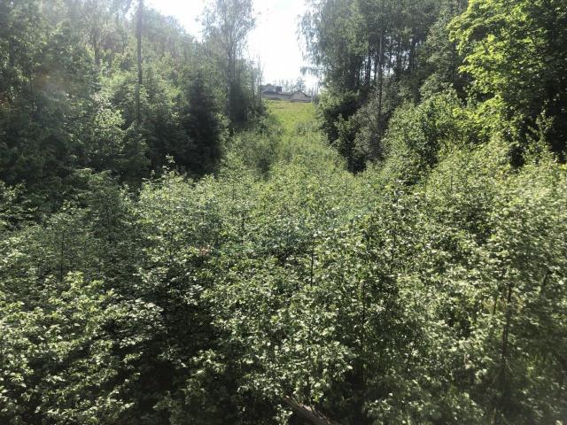 Кирполье дер.