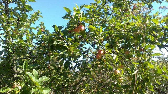 Наволок дер.