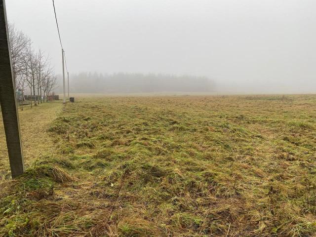 Таровицы дер.