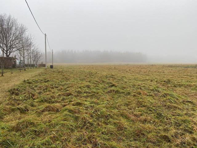 Таровицы дер.