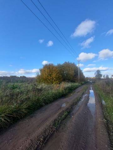 Верхние Рудицы дер.