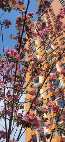 Новое Девяткино дер., Главная ул., д 10-