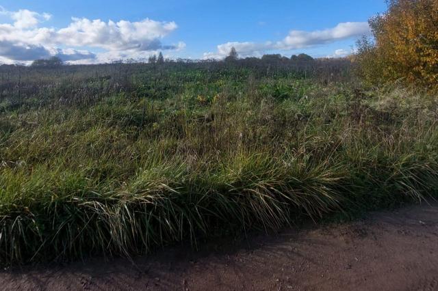 Верхние Рудицы дер.