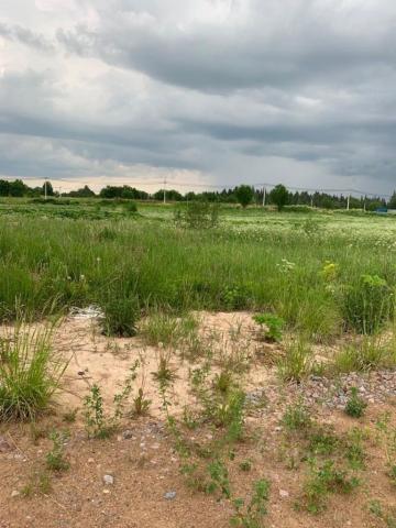 деревня Клясино