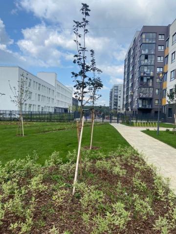 Янино-1 пос., Голландская ул., д 5