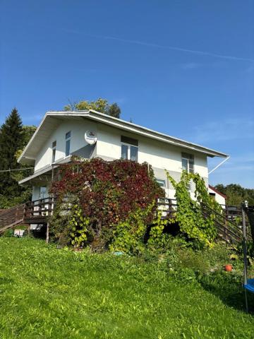 Старая Буря снт, д 4