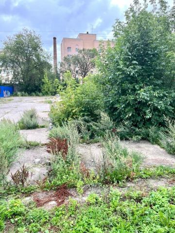 Тамбовская ул., д 25