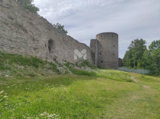 Широково дер