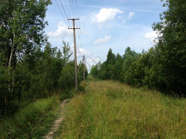 Посадников Остров массив